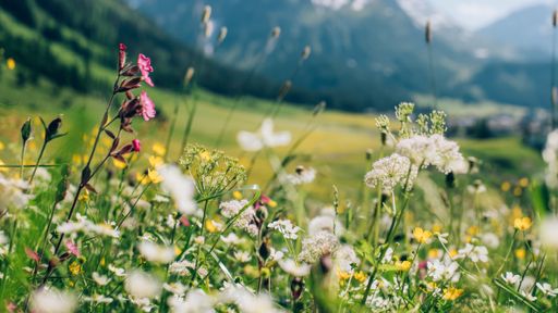 The most extraordinary spring hikes 2025