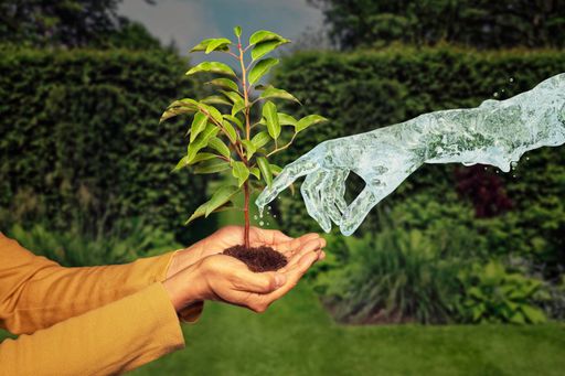 Tag der Erde – jede Handlung macht den Unterschied. Drei Viertel
der österreichischen Gartenbesitzer:innen achten bereits bewusst auf
ihren Wasserverbrauch im Garten. Jeder Handgriff zählt – für die
Natur und für kommende Generationen.