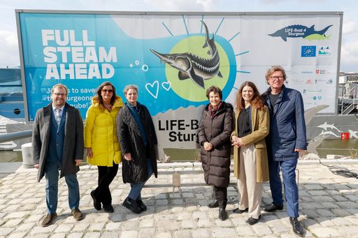 https://www.apa-fotoservice.at/galerie/39185 LIFE-Boat4Sturgeon:
Bis 2030 sollen 1,6 Mio. Jungfische aufgezogen und ausgewildert
werden