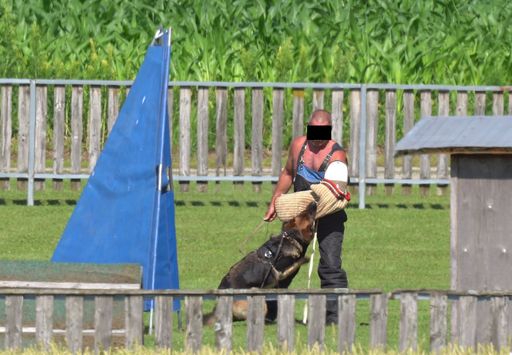 ÖGV Alkoven: Hunde werden gezielt aggressiv gemacht und zum
Angriff angestachelt.