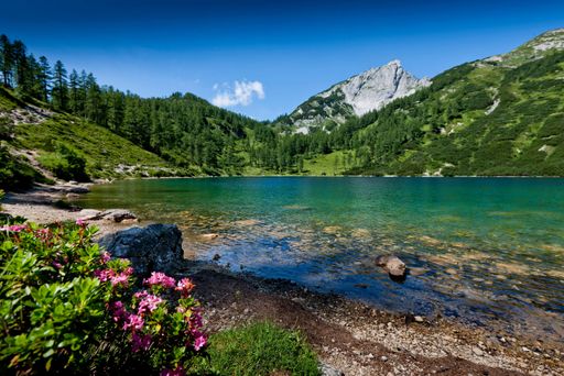 Vorschau Bild von Traumhafte Kulisse am Steirersee auf der Tauplitzalm.