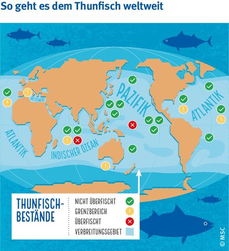 On May 2nd is World Tuna Day