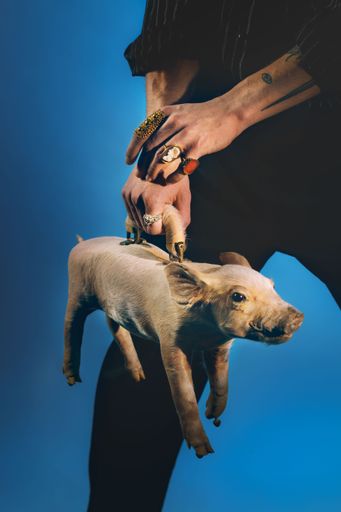Plakatsujet für die Ausstellung SIDEKICKS. Ringe und Taschen aus
der MAK Sammlung, 2025 © Erli Grünzweil