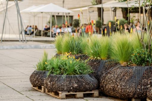 MQ Hofbegrünung im Deutschen Pavillon