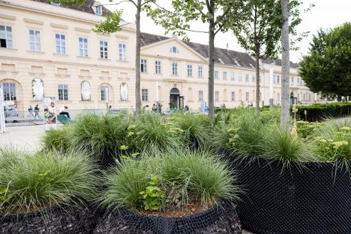 Vorschau Bild von MQ Hofbegrünung im Deutschen Pavillon