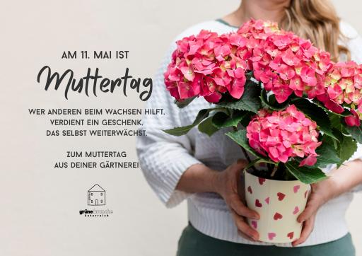  Prächtige Blumengeschenke aus der Region zum Muttertag