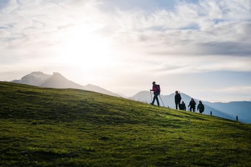  Der Zertifikatslehrgang vermittelt praxisnahes Fachwissen und
strategische Kompetenzen, um den Tourismus resilient und
zukunftsfähig zu gestalten.