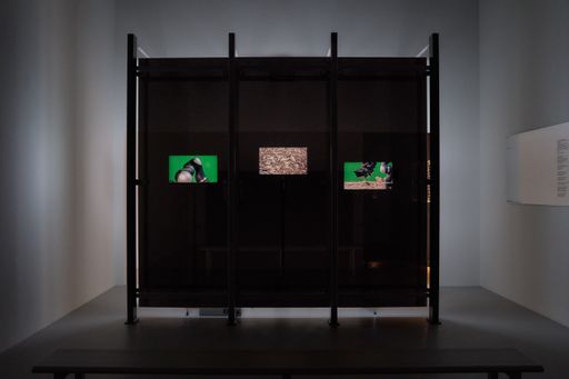 Felix Lenz represents Austria at the 24th international exhibition of the Triennale Milano
