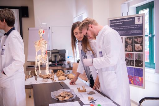 DPU awards Lower Austria scholarship for medical studies