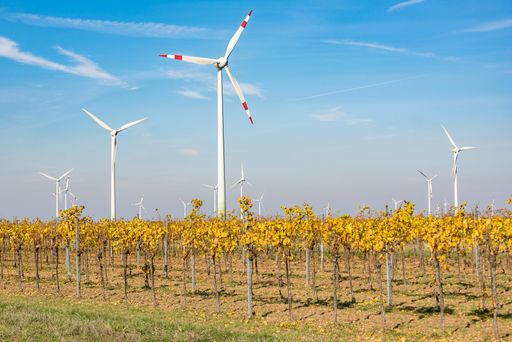 Vorschau Bild von Sektorkopplung: In Neusiedl am See kann dank innovativer
Wärmepumpentechnologie nachhaltiger Windstrom für die
Fernwärmeproduktion genutzt werden, wenn er nicht anderweitig im
Netz gebraucht wird.