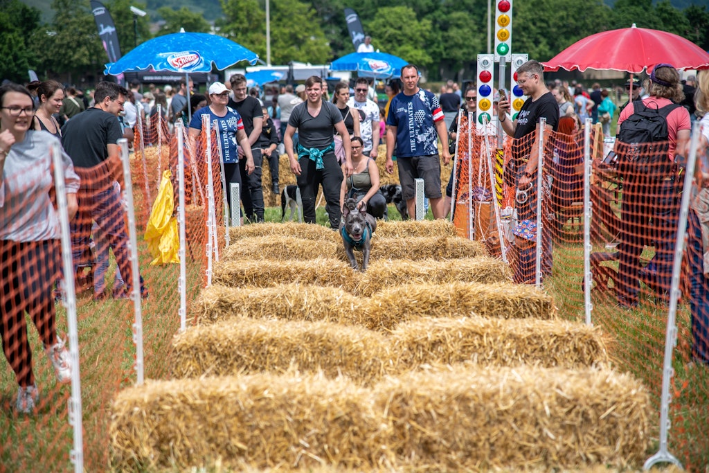Austria’s largest dog open-air attracts with a show, action and experience for the whole family