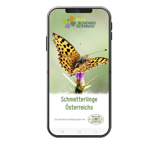 Die kostenlose App "Schmetterlinge Österreichs" ermöglicht es
allen, einen Beitrag zur Erfassung der Verbreitung der
österreichischen Schmetterlinge zu leisten.
