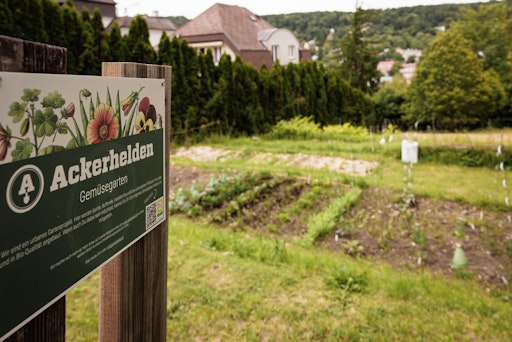 Vorschau Bild von 10 neue Beete wurden für Urban Gardening am Friedhof Neustift
geschaffen.