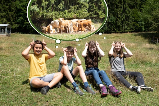 Vorschau Bild von Rinder verstehen und sicher an ihnen vorbeigehen. Zielgruppe: ab
9 Jahren Der Film kann kostenlos auf der Website angesehen werden.