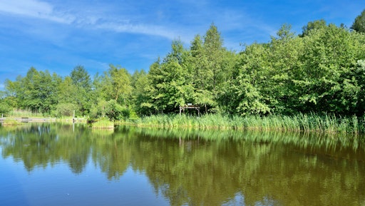 Vorschau Bild von Der Naturpark Hochmoor Schrems steht im Zentrum