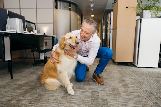  „Die positiven Auswirkungen von Hunden im Büro sind unübersehbar.
Sie fördern nicht nur eine angenehme Arbeitsatmosphäre, sondern
stärken auch die zwischenmenschlichen Beziehungen im Team. Wir bei
PURINA setzen uns seit vielen Jahren aktiv dafür ein, dass mehr
Unternehmen die Vorteile von Bürohunden erkennen und umsetzen, denn
ein harmonisches Arbeitsumfeld trägt entscheidend zum Erfolg des
Unternehmens und zur Zufriedenheit aller Mitarbeiter:innen bei!“