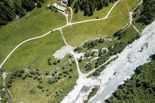 Successful renaturation of the Alpine Auwald on the Schwemmalm in the Zillertal