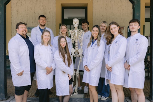 Future fortons for medicine in Lower Austria