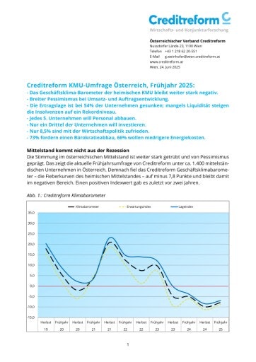 Vorschau Bild von Presseaussendung KMU Wirtschaftslage Frühjahr 2025