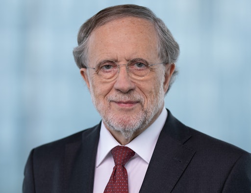 Vorschau Bild von Vorstandsmitglied Verein Ute Bock - Prof. Friedrich Rödler