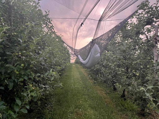 Vorschau Bild von Hagel bei Netzanlage in Prebuch
