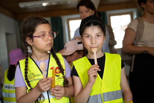 Vorschau Bild von Die Konsumdialoge in Salzburg & Hallein