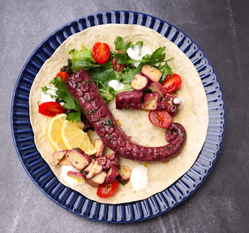 THE KRAKEN - Inspired by Octopus