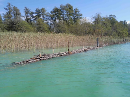 Vorschau Bild von Bewusstseinsbildung ist ein Schlüssel, um die Natur zu erhalten
und die Menschen für ihre Bedeutung zu sensibilisieren. Darum setzen
STW und E.C.O. auf Information, Aufklärung und kreative Ansätze: •
E.C.O. Mitarbeiter informieren im Strandbad über respektvolles
Verhalten auf dem Wasser (z. B. für SUPer), • Kinder erleben bei
einer Rätselrallye im Strandbad die Vielfalt der Natur spielerisch,
• Schilfschutzzäune im Europaschutzgebiet werden erneuert und •
Neophyten gezielt bekämpft.