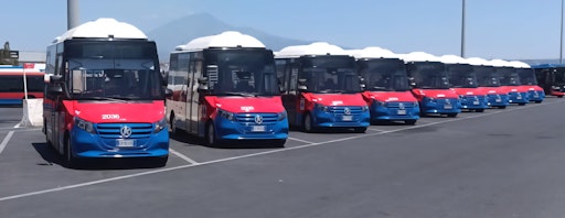 10 Stück für Catania