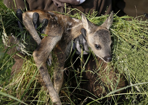 Hunters are pleased with broad political support