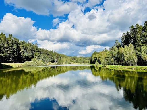 Vorschau Bild von Feuchtgebiete in der Wetland City Region