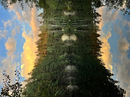 Vorschau Bild von Feuchtgebiete in der Wetland City Region