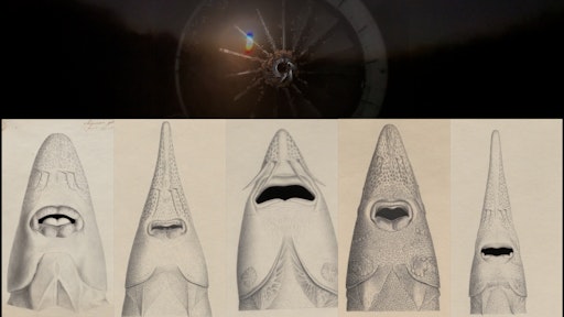 Vorschau Bild von Carlos Monleón, Untitled (Schwelle), 2025 Einkanal-Video /
Single-channel video