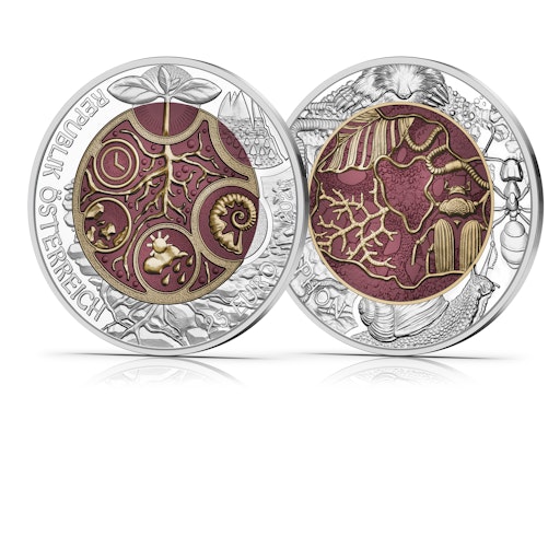 Vorschau Bild von Silber-Niob-Münze Edaphon