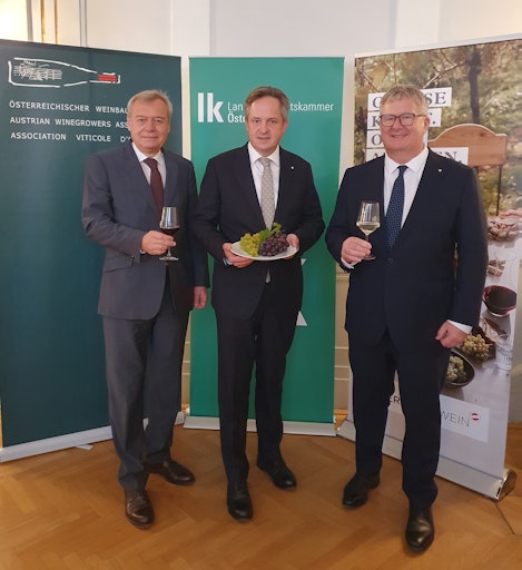 Der Geschäftsführer des Österreichischen Weinbauverbands, Josef
Glatt, der Präsident des Österreichischen Weinbauverbands, Johannes
Schmuckenschlager, und der Geschäftsführer der Österreich Wein
Marketing GmbH, Chris Yorke, heute beim Weinernte-Pressegespräch in
Wien.