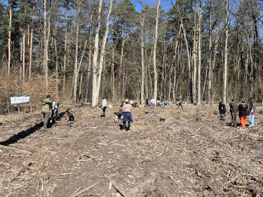 lavera Waldprojekt in Polen-Warschau // Weiterer Text über ots
und www.presseportal.de/nr/64783 / Die Verwendung dieses Bildes für
redaktionelle Zwecke ist unter Beachtung aller mitgeteilten
Nutzungsbedingungen zulässig und dann auch honorarfrei.
Veröffentlichung ausschließlich mit Bildrechte-Hinweis.