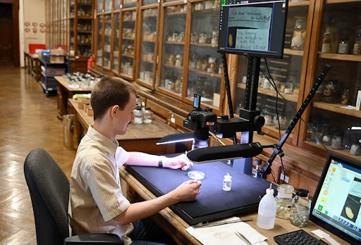 OSCA-Arbeitssituation im NHM Wien