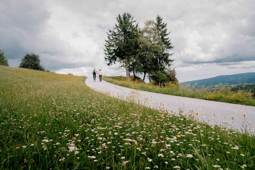 Vorschau Bild von Strecke mit herrlichen Aussichten und wunderschönen Blumenwiesen
