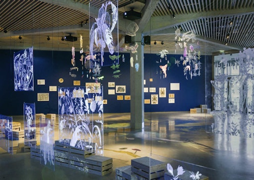 Vorschau Bild von Der Ausstellungsraum im KinderKunstLabor schimmert in tiefem Blau
und schafft mit Silhouetten und Schatten, Bewegung, Duft und Klang
einen Garten der Nacht.
