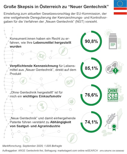 Marktforschung Ergebnisse