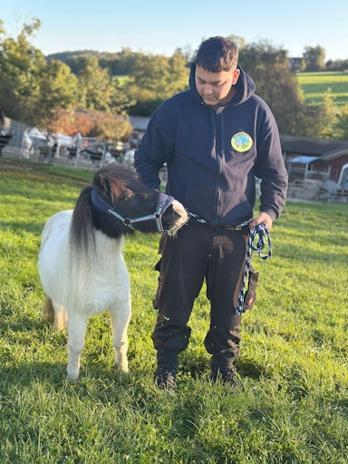 Vorschau Bild von Mini-Pony Helena am Tierschutzhof Pfotenhilfe