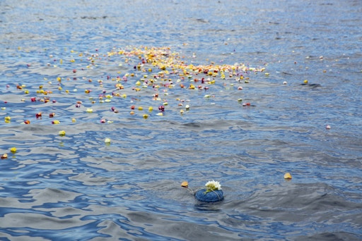 Vorschau Bild von Wasserbestattung durch die Naturbestattung GmbH