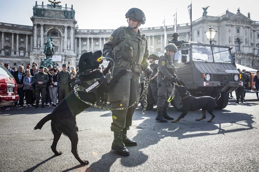 Vorschau Bild von Bundesheer: Welttierschutztag – die tierischen Kollegen im
Einsatz