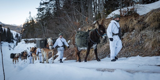 Vorschau Bild von Bundesheer: Welttierschutztag – die tierischen Kollegen im
Einsatz