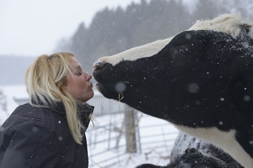 Vorschau Bild von Johanna Stadler mit Ochs Ferdinand