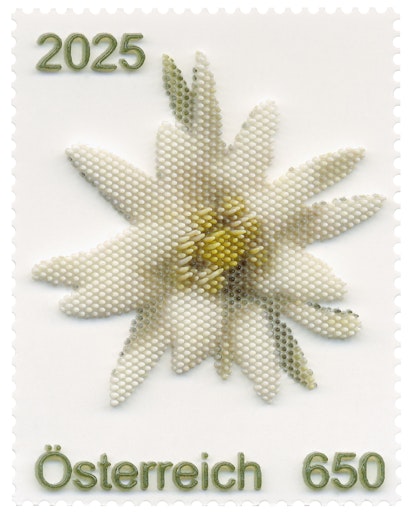 Vorschau Bild von Die 3D-gedruckte Briefmarke "Edelweiß reloaded" besteht aus
kleinen, feinen Härchchen aus gehärtetem Photopolymer