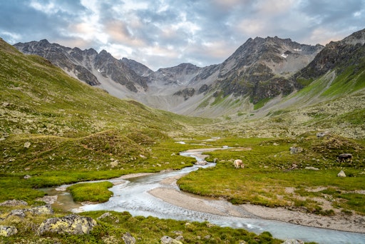  Das Platzertal im Tiroler Kaunertal gilt als Naturjuwel und ist
Schauplatz etlicher Konflikte.