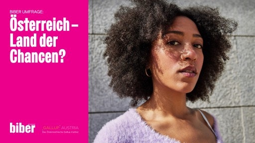 Ergebnisse Biber-Umfrage: Karriere