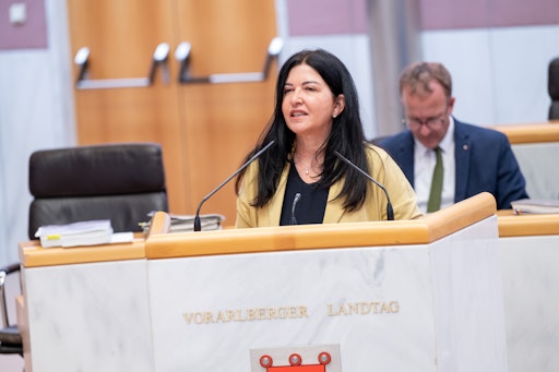 Vorschau Bild von SPÖ-Sozialsprecherin Manuela Auer sieht angesichts der
Missbrauchsvorwürfe gegen Hermann Gemeiner dringenden
Handlungsbedarf beim Opferschutz.
