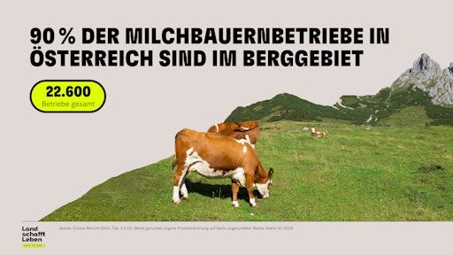 Vorschau Bild von 90 Prozent der österreichischen Milchbetriebe sind im Berggebiet
angesiedelt © Land schafft Leben